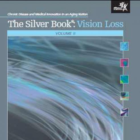 Cover of The Silver Book: Vision Loss Report