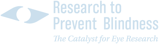 RPB Demo Site: The Catalyst for Eye Research